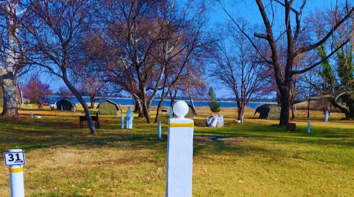 TangleWood Nature Estate