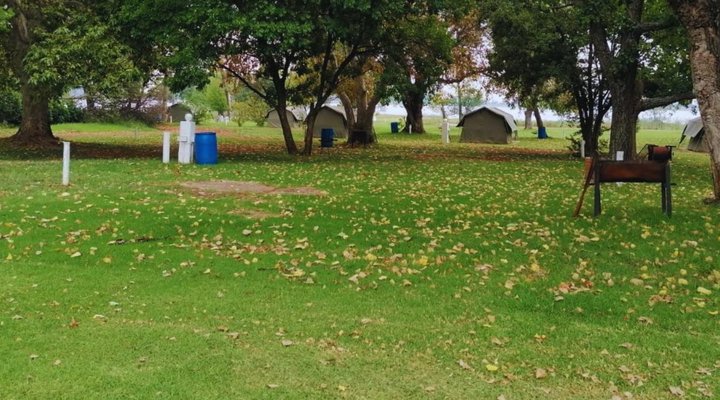 TangleWood Nature Estate