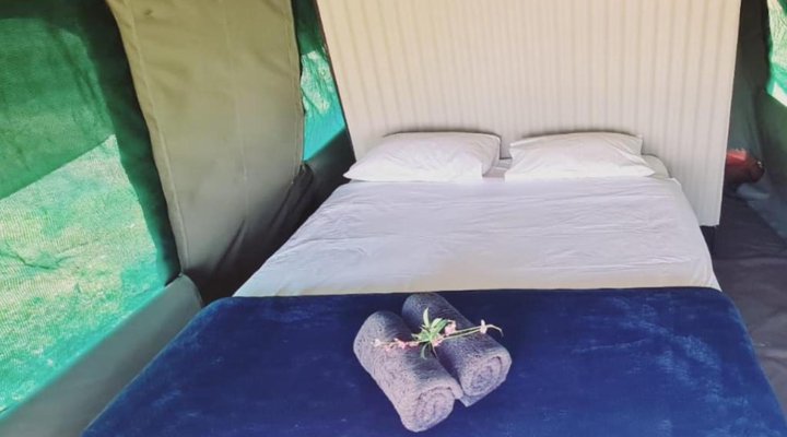 TangleWood Nature Estate