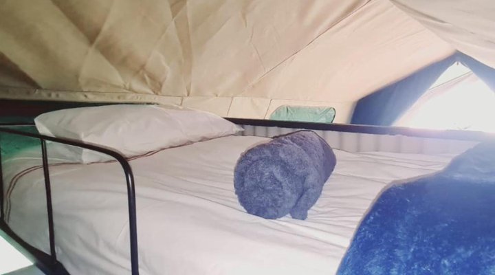 TangleWood Nature Estate