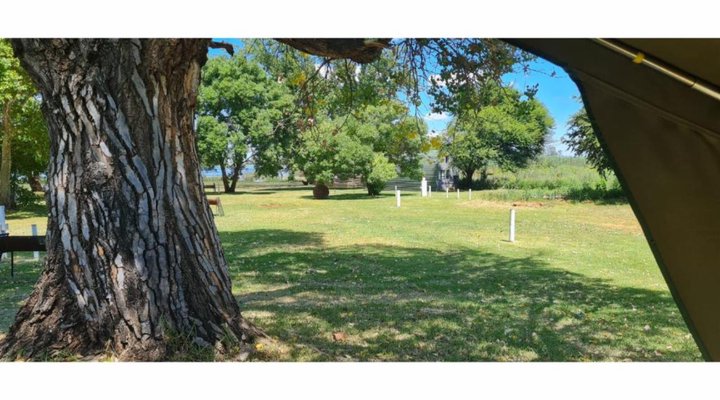 TangleWood Nature Estate