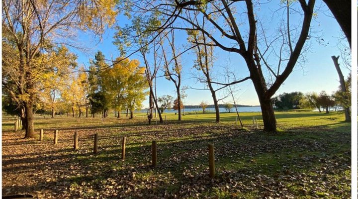 TangleWood Nature Estate