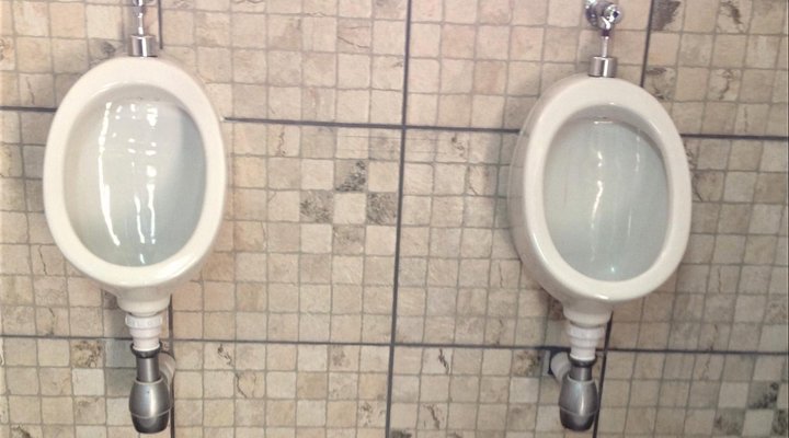 TangleWood Nature Estate