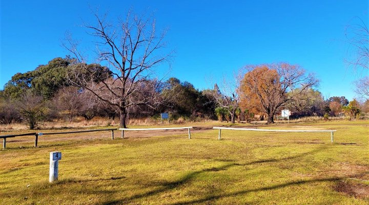 TangleWood Nature Estate