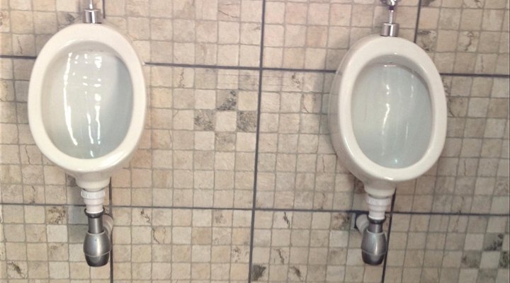 TangleWood Nature Estate