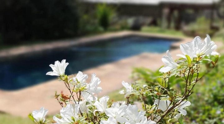 L'Orange Guest House