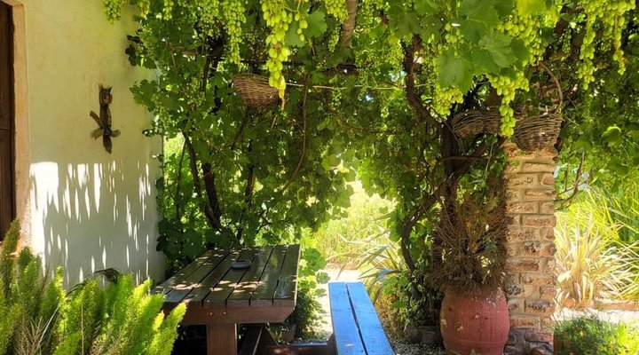 Kleinplasie Guesthouse