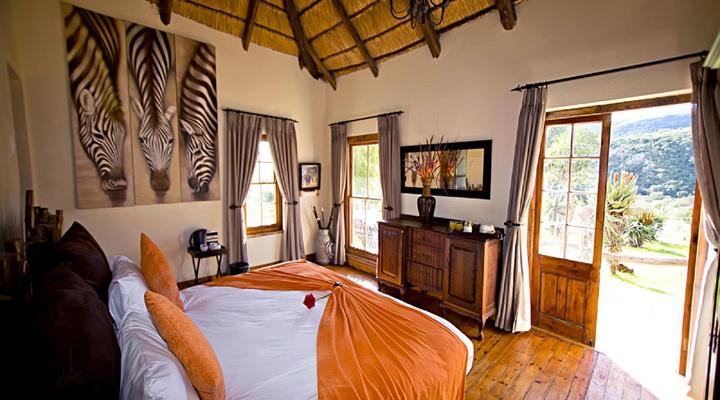 Addo Bush Palace Private Reserve