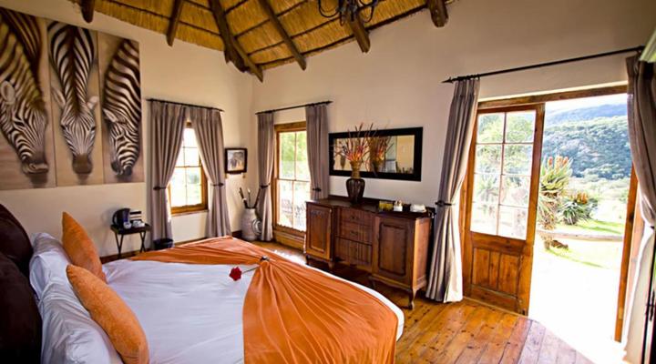 Addo Bush Palace Private Reserve