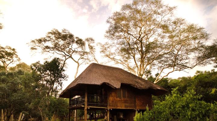 Ubizane Zululand Tree Lodge