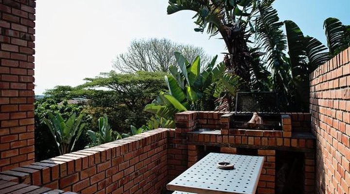 The South Sea's Safari Co
