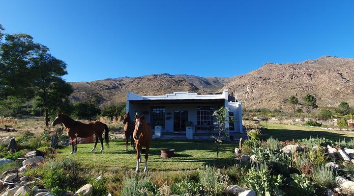 Fluisterbosch Self catering and Lifestyle Farm