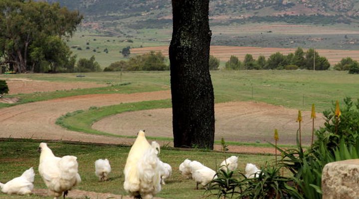 Oldenburg Lodge & Game Park