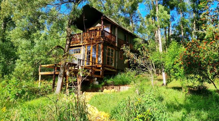 Fernhill Tented Treehouses
