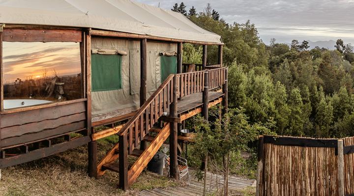 Fernhill Tented Treehouses