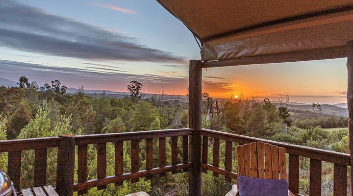 Fernhill Tented Treehouses