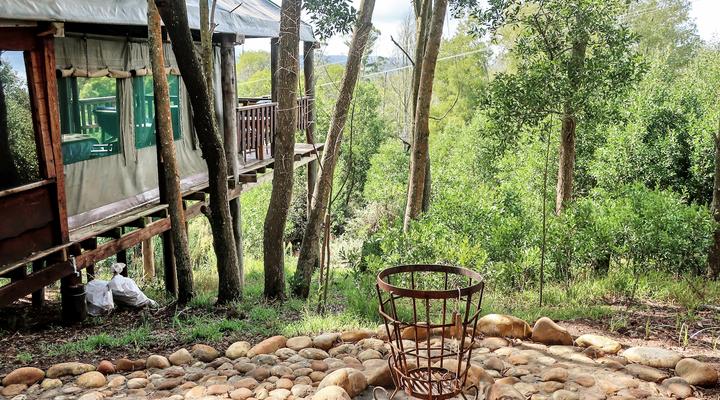 Fernhill Tented Treehouses