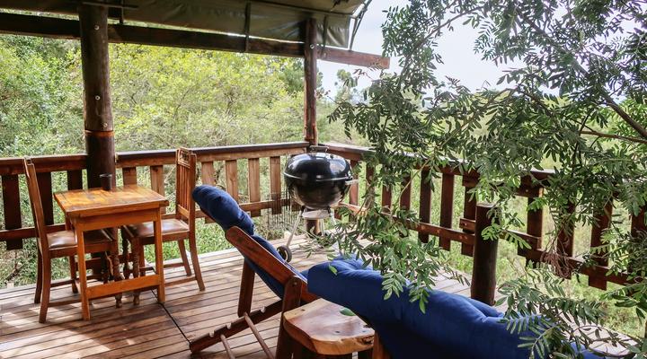 Fernhill Tented Treehouses