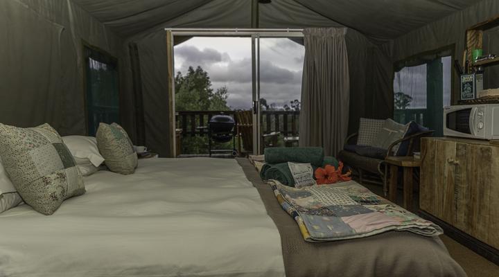 Fernhill Tented Treehouses