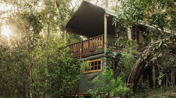 Fernhill Tented Treehouses