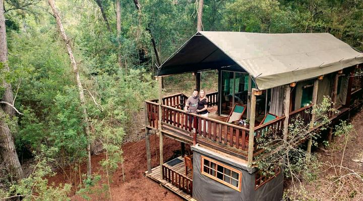Fernhill Tented Treehouses