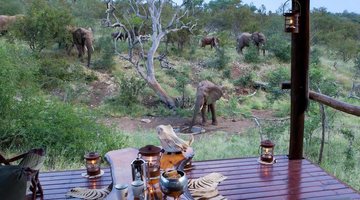 Ximongwe Safari Camp