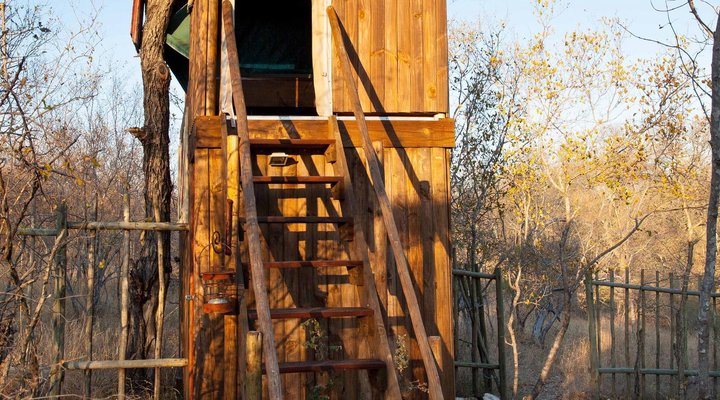 Ximongwe Safari Camp