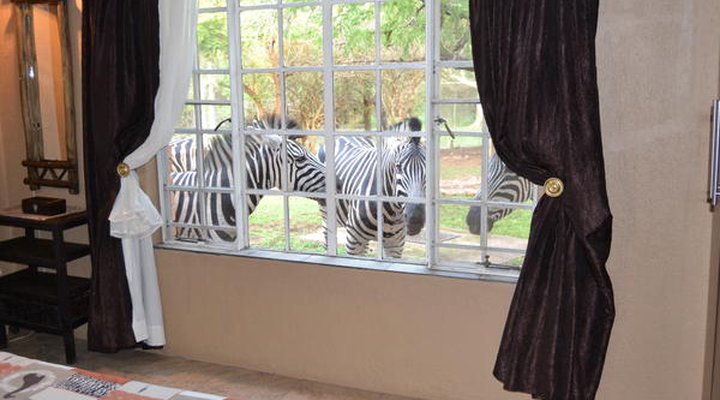 Getaway Bush Marloth Park