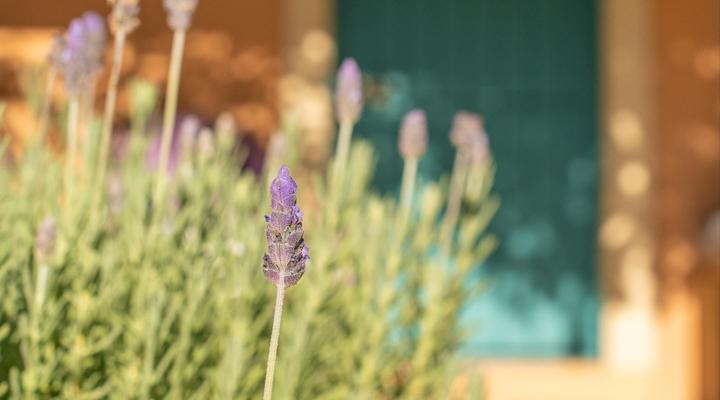 Hebron Guesthouse, Restaurant & Farmstall