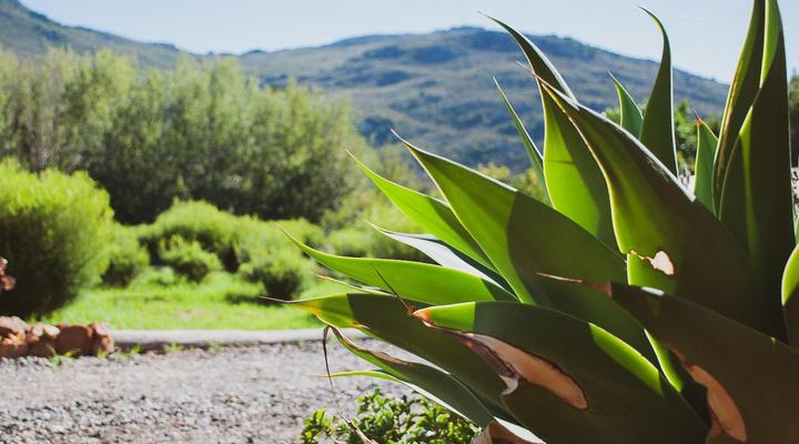 Hebron Guesthouse, Restaurant & Farmstall