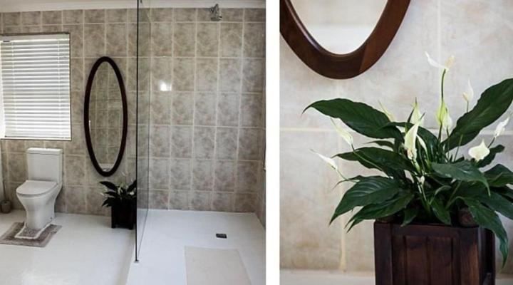 Mountain Haven Villa