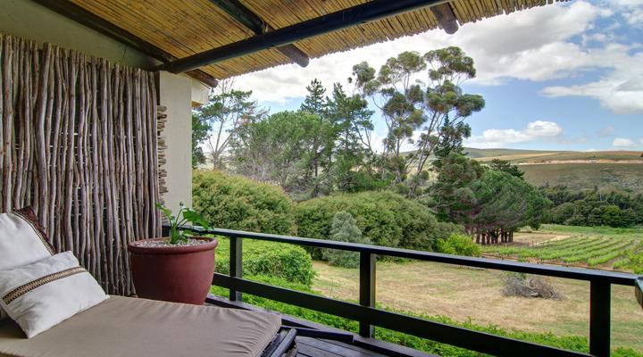 Blue Gum Country Estate