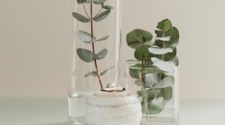 Cottage Pie by Robberg