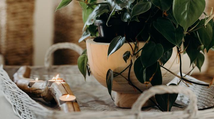 Cottage Pie by Robberg