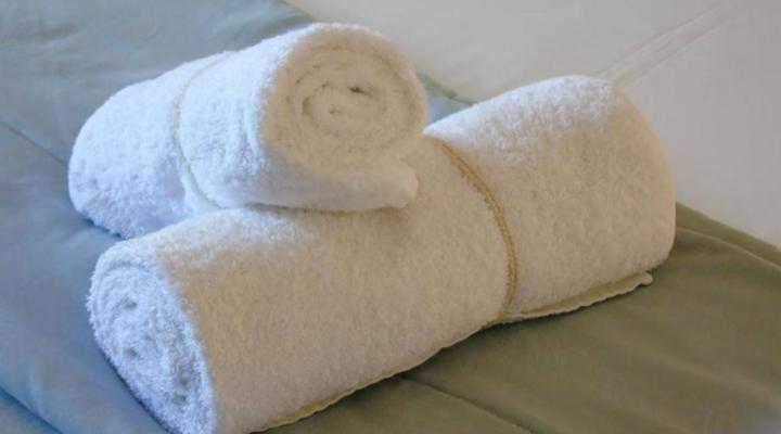 Fischreiher Guest House