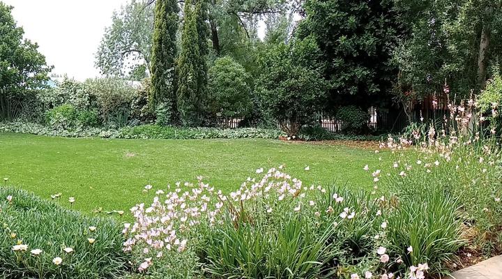 At Mamma's Guesthouse