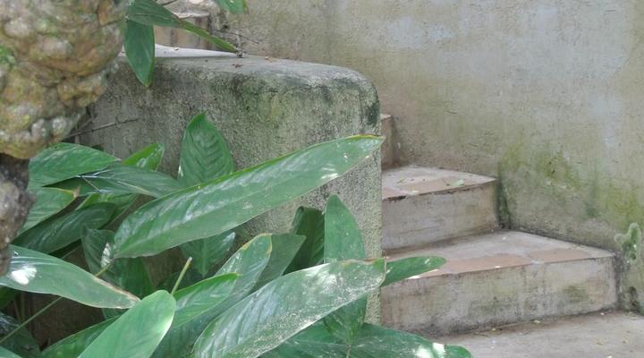 Malandela's Guest House