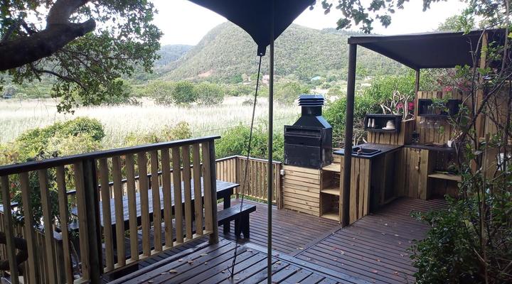 The Wild - in Wilderness