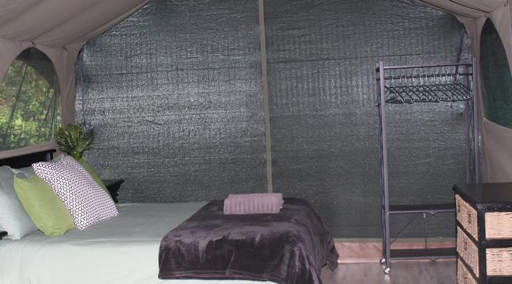 The Wild - in Wilderness