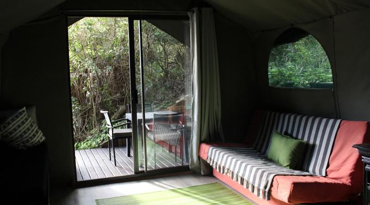 The Wild - in Wilderness