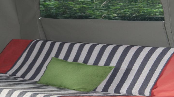 The Wild - in Wilderness