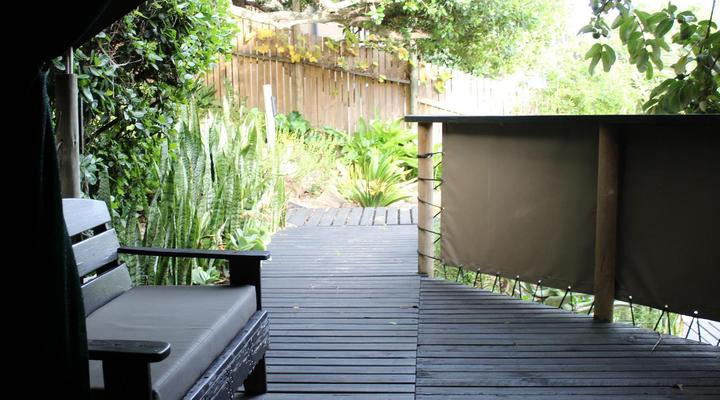 The Wild - in Wilderness