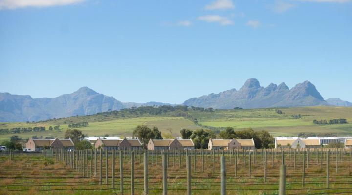 Vergenoegd Löw Boutique Hotel & Spa