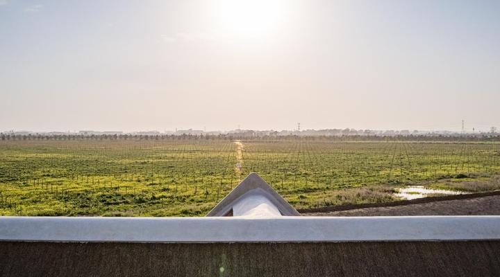 Vergenoegd Löw Boutique Hotel & Spa