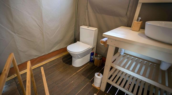 Working with Wildlife