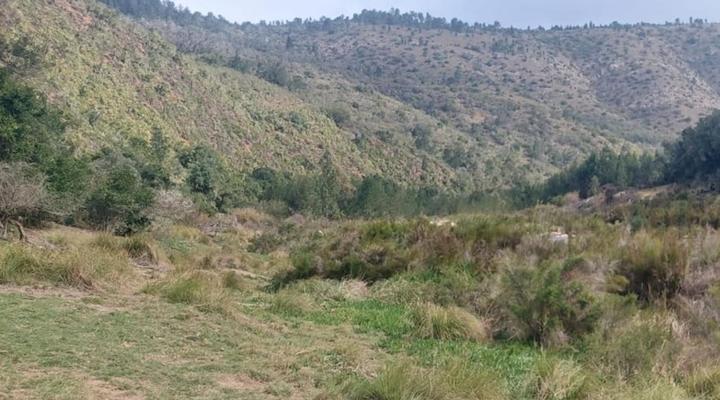 Keurbooms River Game Trails