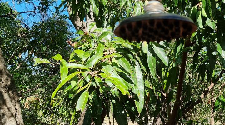 Paradise River Lodge