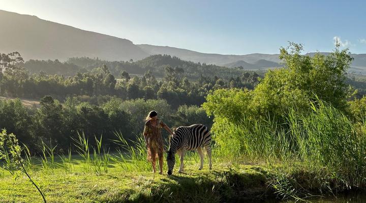 Cornellskop Farm Stay