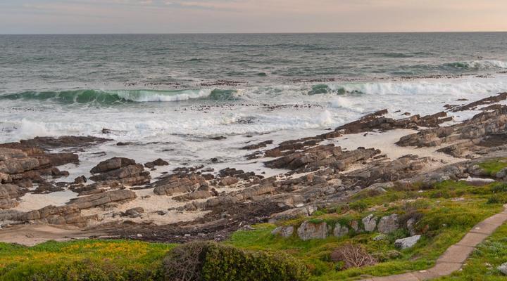 Absolute Ocean Boutique Guesthouse