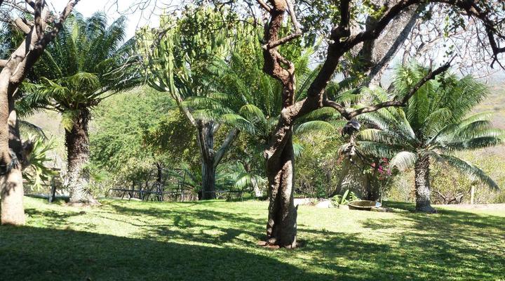 Ehlathini Game Lodge